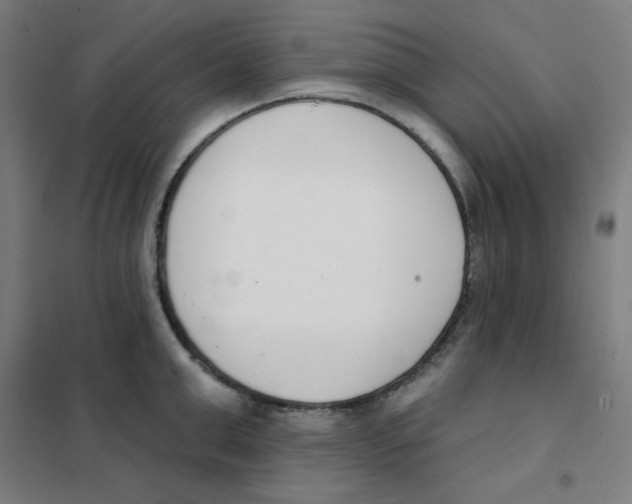 X0000101400999200808041036