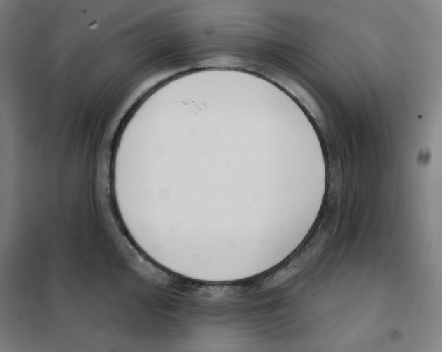 X0000101401000200808041036