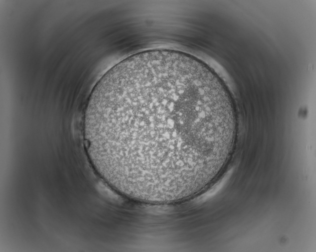 X0000101401001200808041036