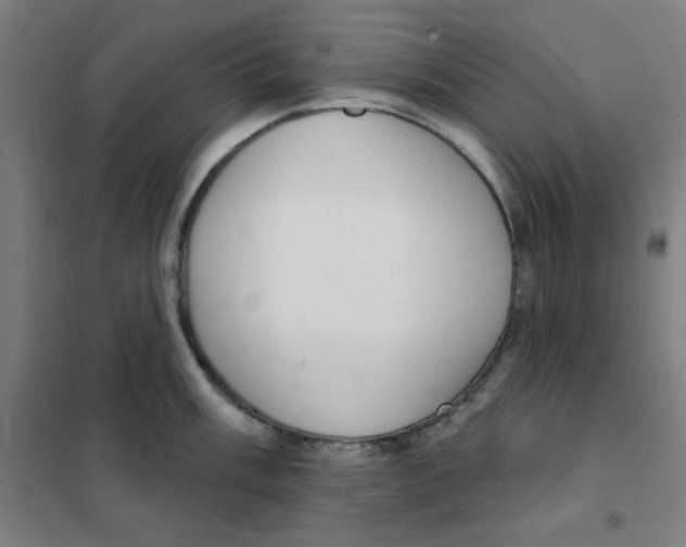 X0000101401003200808041036