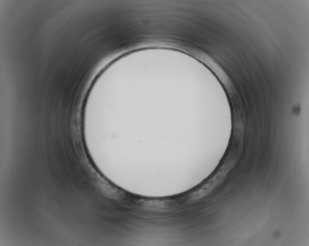 X0000101401004200808041036