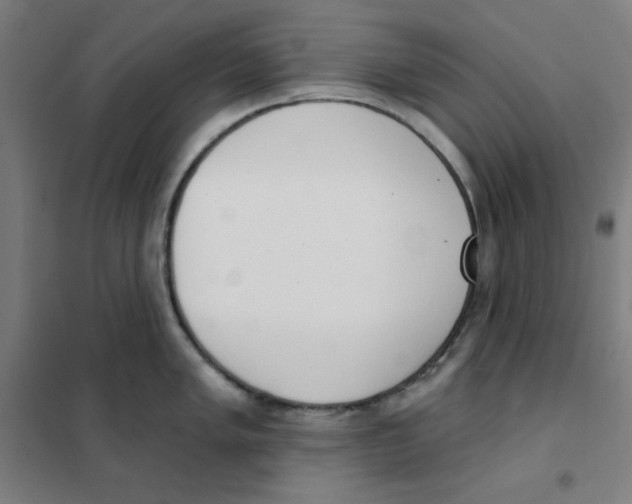 X0000101401005200808041036