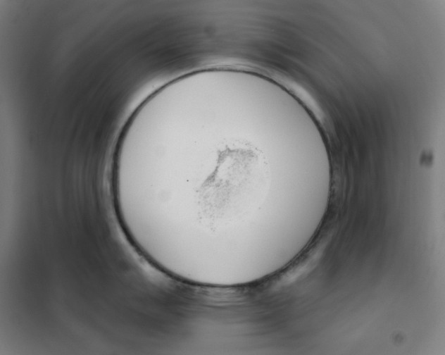 X0000101401007200808041036