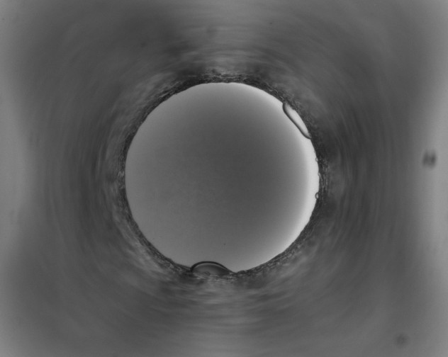 X0000101401009200808041036