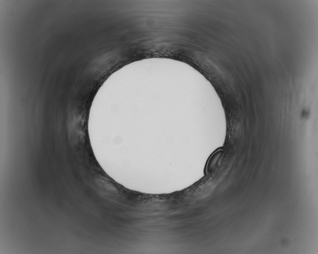 X0000101401010200808041036