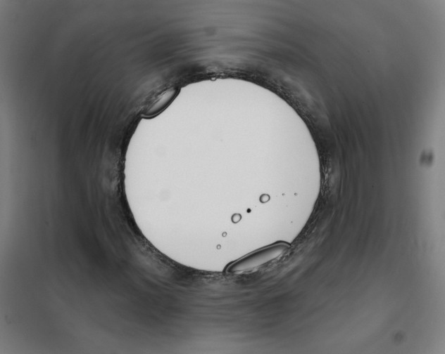 X0000101401012200808041036