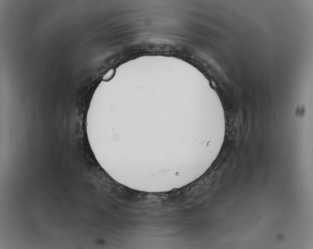 X0000101401013200808041036