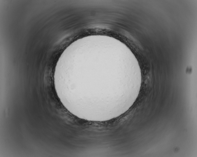 X0000101401014200808041036