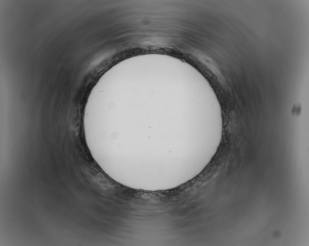 X0000101401015200808041036