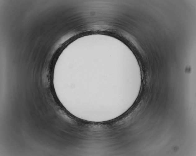 X0000101401018200808041036