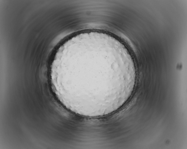 X0000101401019200808041036