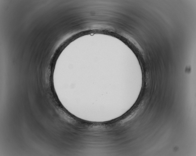 X0000101401021200808041036