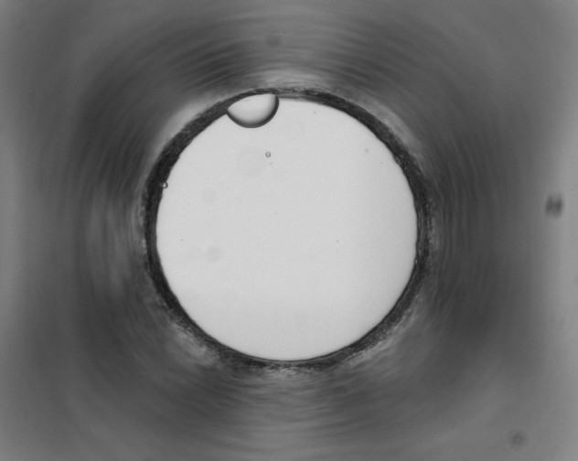 X0000101401022200808041036