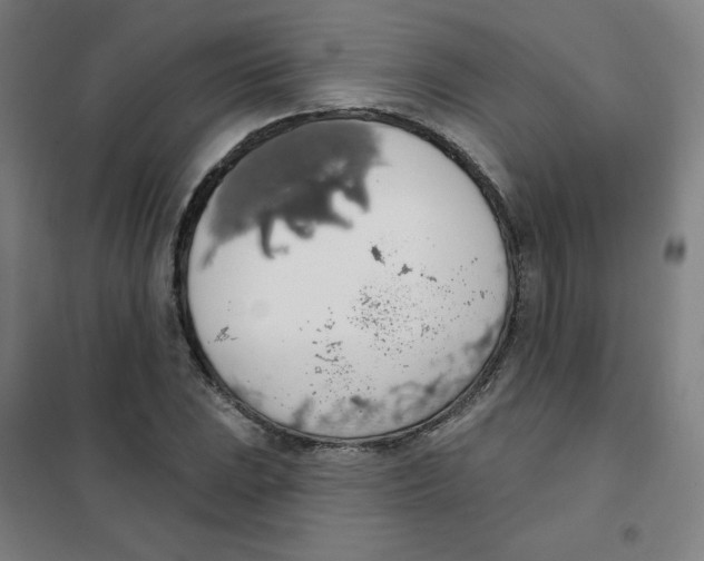 X0000101401023200808041036