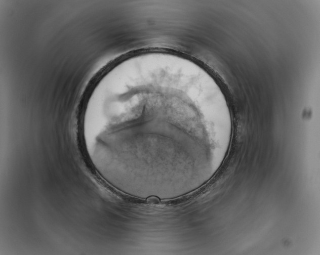 X0000101401024200808041036