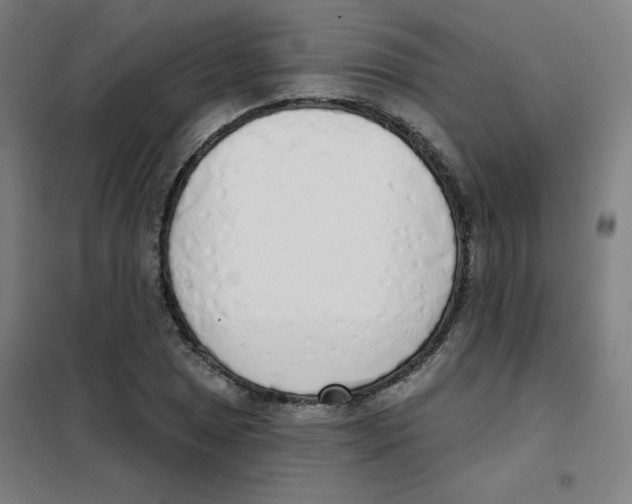 X0000101401025200808041036