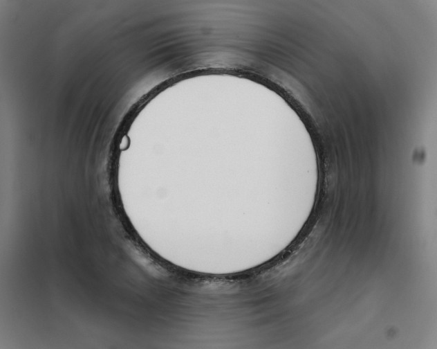 X0000101401026200808041036