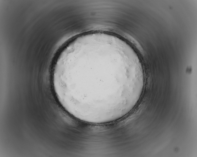 X0000101401027200808041036