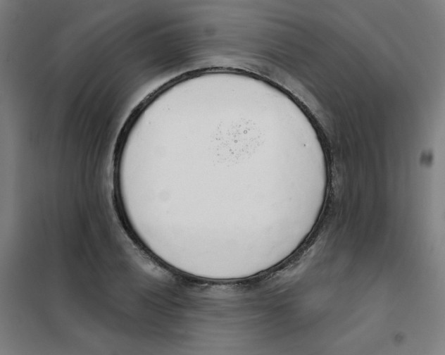 X0000101401028200808041036