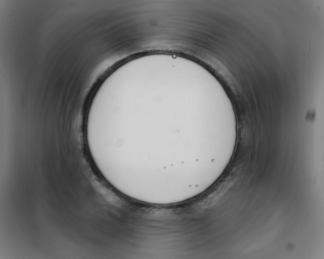 X0000101401030200808041036