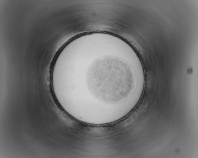 X0000101401031200808041036