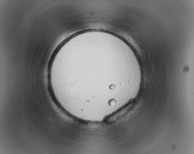 X0000101401032200808041036