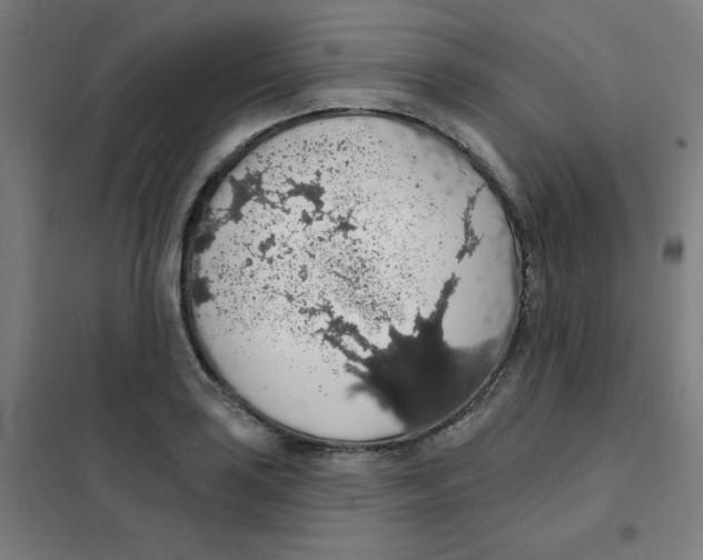 X0000101401035200808041036