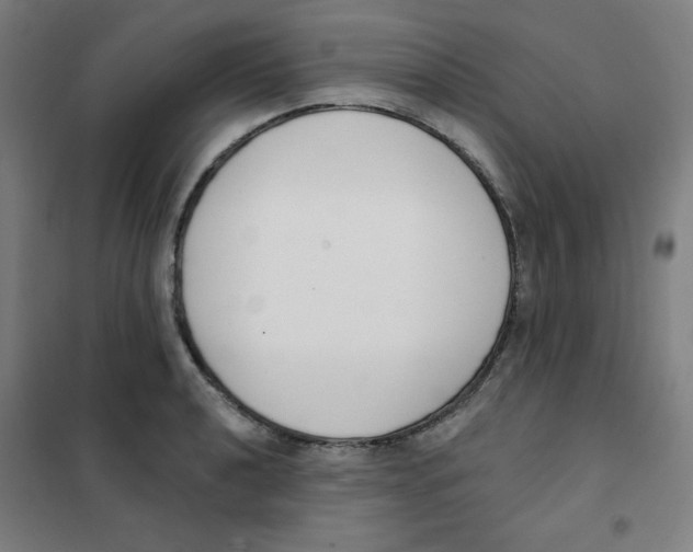 X0000101401040200808041036