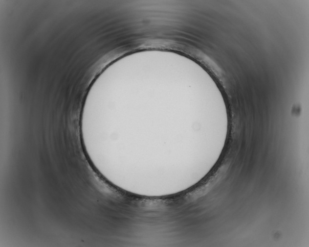 X0000101401041200808041036