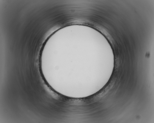 X0000101401042200808041036