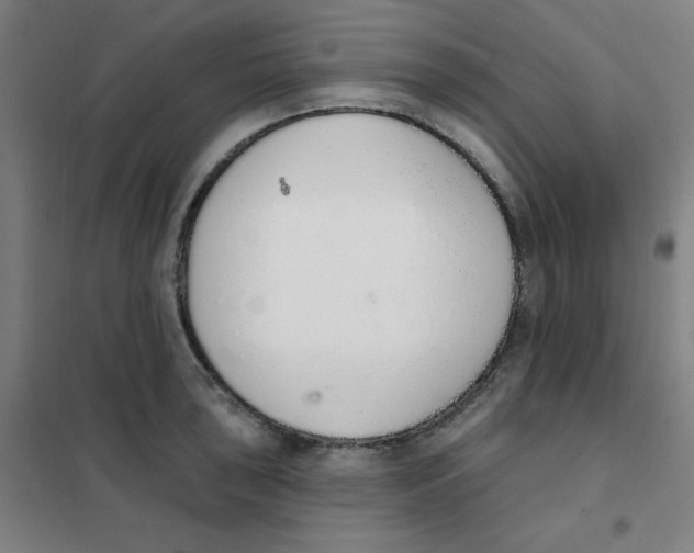 X0000101401043200808041036