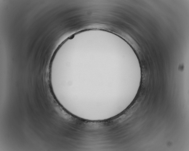 X0000101401044200808041036