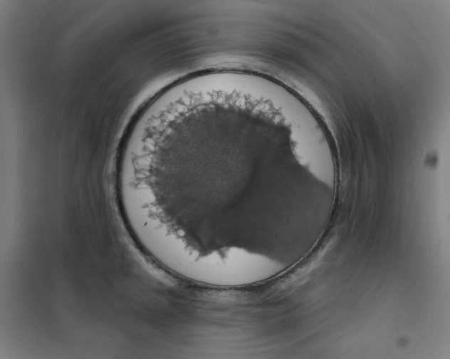 X0000101401045200808041036