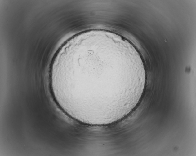 X0000101401048200808041036