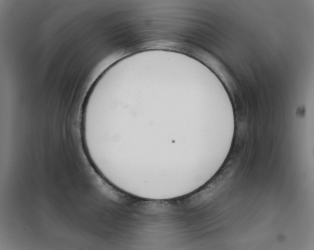 X0000101401050200808041036