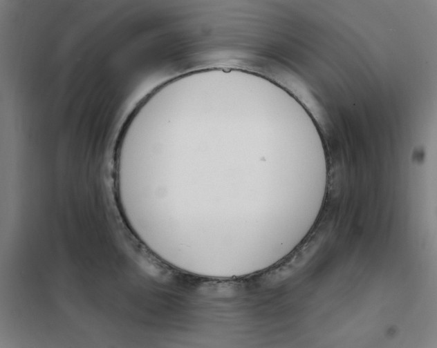 X0000101401051200808041036