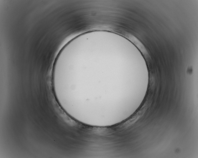 X0000101401052200808041036