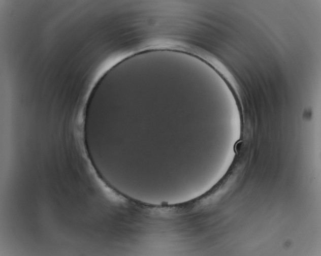 X0000101401053200808041036