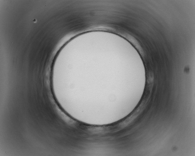 X0000101401054200808041036