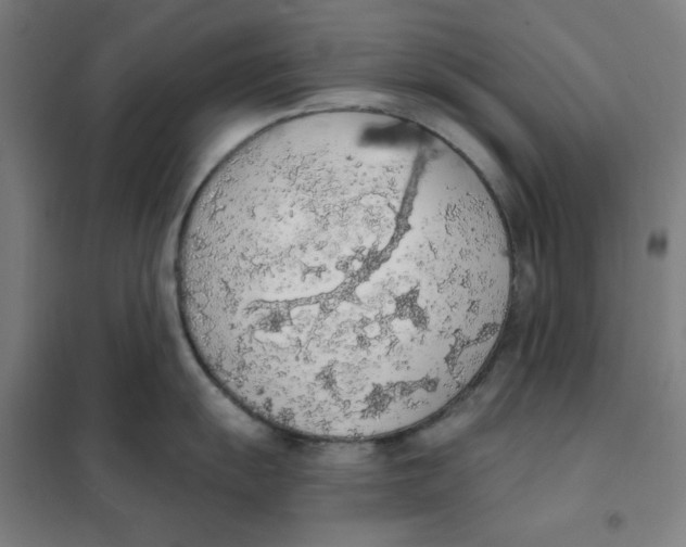 X0000101401055200808041036