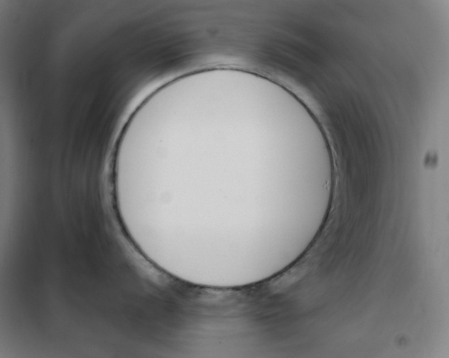 X0000101401056200808041036