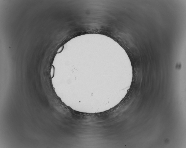 X0000101401057200808041036