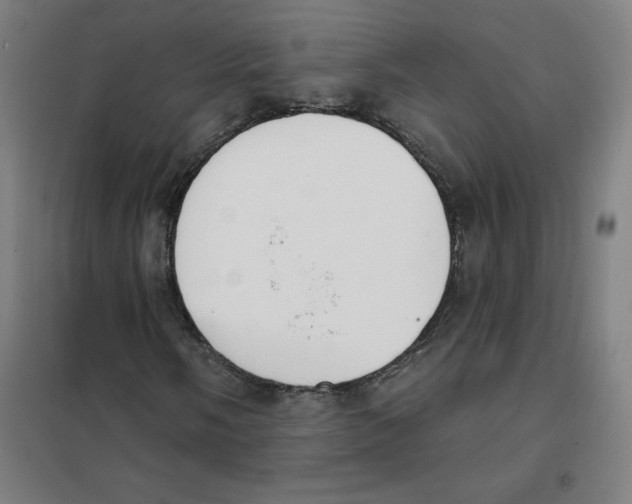 X0000101401058200808041035