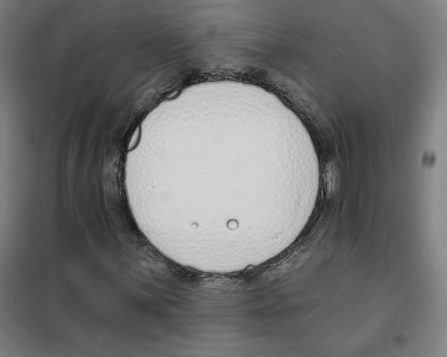 X0000101401059200808041035