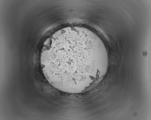 X0000101401063200808041035