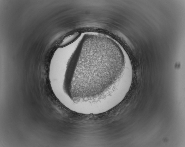 X0000101401064200808041035