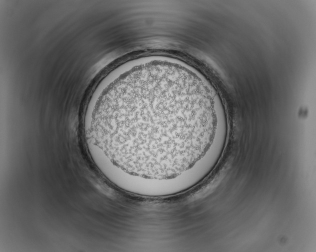 X0000101401065200808041035