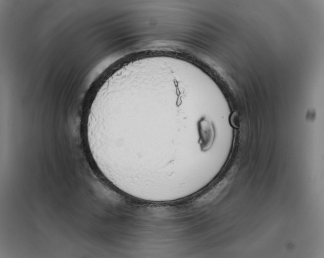 X0000101401066200808041035