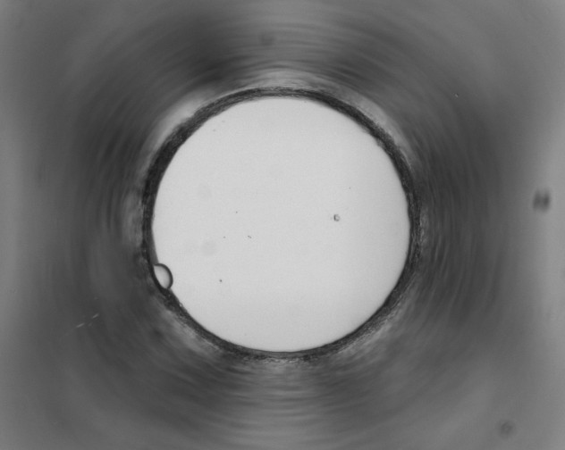 X0000101401067200808041035