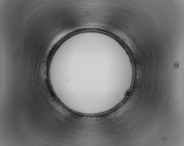 X0000101401069200808041035